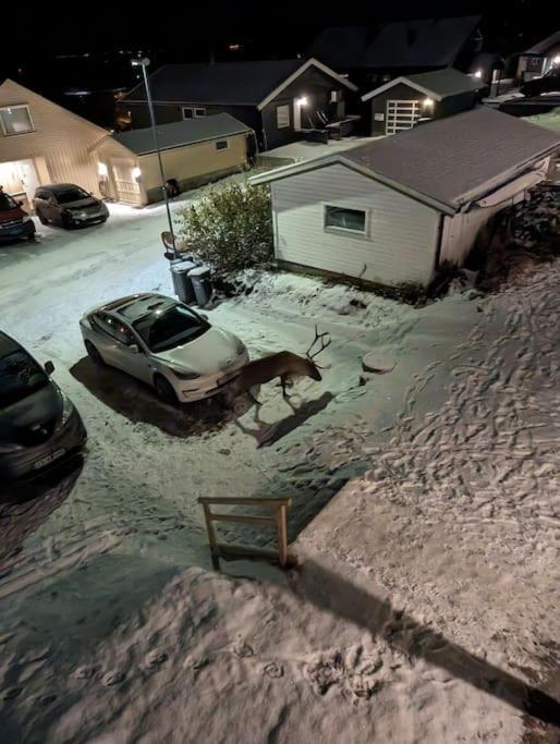 Koselig Leilighet Naer Bussholdeplass Og Natur. Tromsø Eksteriør bilde